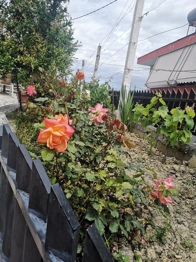 Private House Durres Villa Bilik gambar