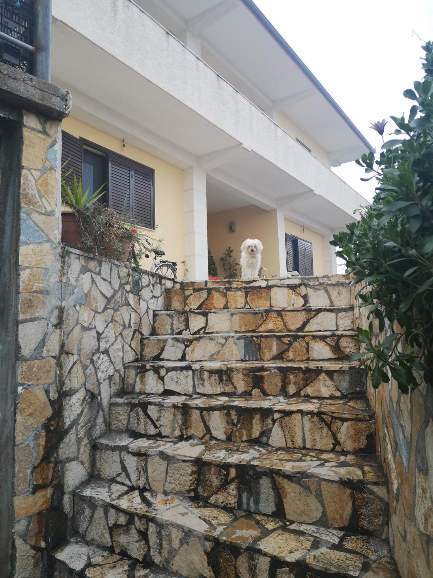 Private House Durres Villa Bilik gambar